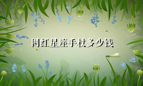网红星座手杖多少钱