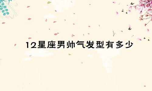 12星座男帅气发型有多少