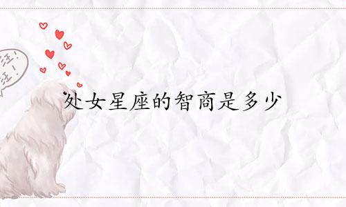 处女星座的智商是多少