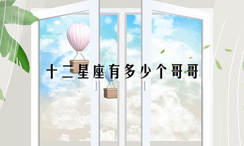 十二星座有多少个哥哥