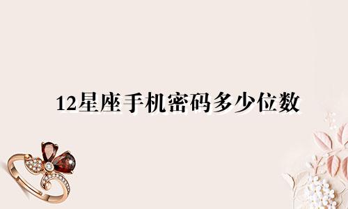 12星座手机密码多少位数