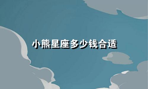 小熊星座多少钱合适