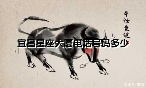 宜昌星座大厦电话号码多少