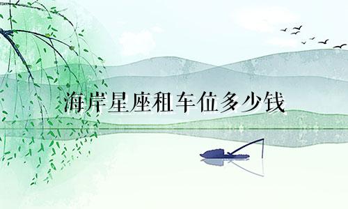 海岸星座租车位多少钱