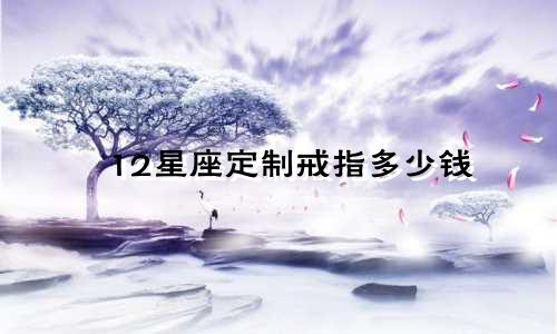 12星座定制戒指多少钱