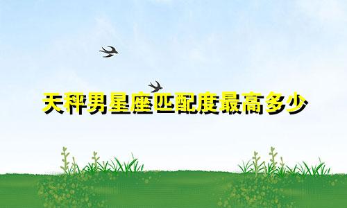 天秤男星座匹配度最高多少