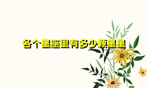 各个星座里有多少颗星星