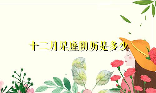 十二月星座阴历是多少