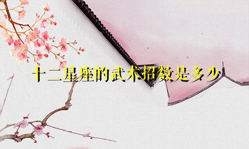 十二星座的武术招数是多少