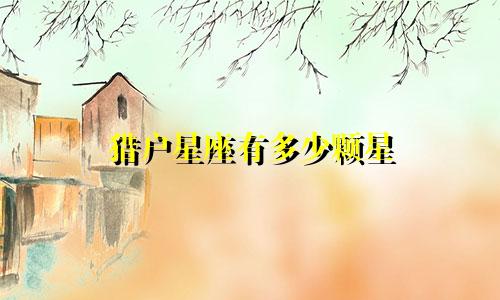 猎户星座有多少颗星