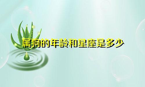 属狗的年龄和星座是多少