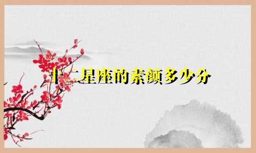 十二星座的素颜多少分