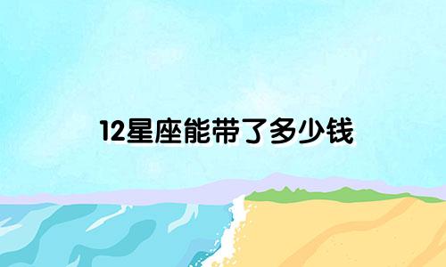 12星座能带了多少钱