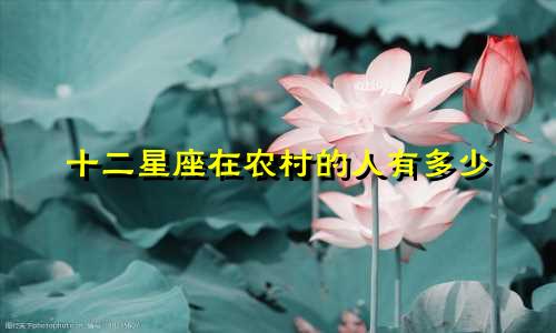 十二星座在农村的人有多少
