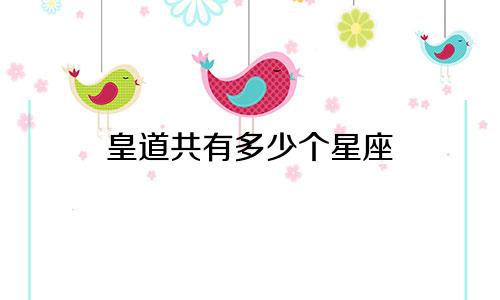 皇道共有多少个星座