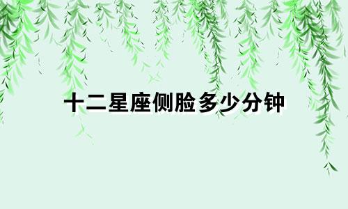 十二星座侧脸多少分钟