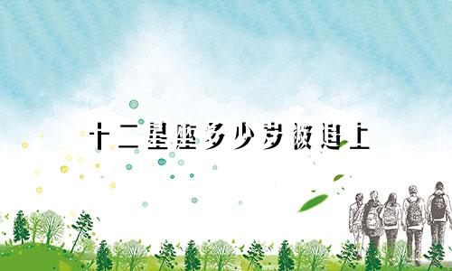十二星座多少岁被追上