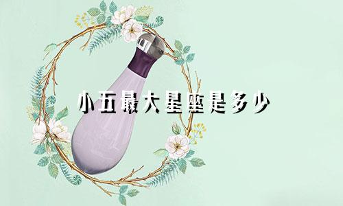 小五最大星座是多少