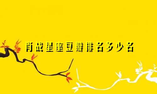 肖战星座豆瓣排名多少名