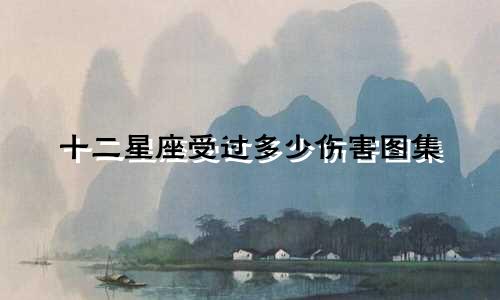 十二星座受过多少伤害图集