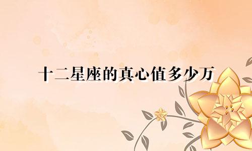十二星座的真心值多少万