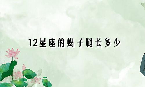 12星座的蝎子腿长多少