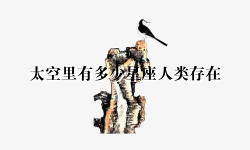 太空里有多少星座人类存在