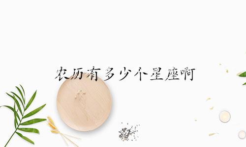 农历有多少个星座啊