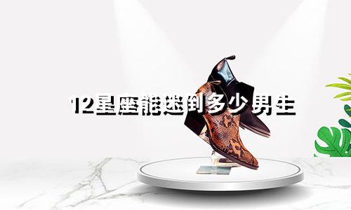 12星座能迷倒多少男生