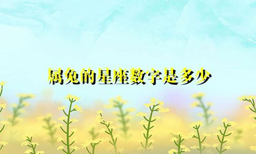 属兔的星座数字是多少