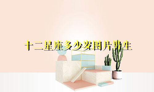 十二星座多少岁图片男生