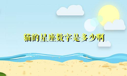 猫的星座数字是多少啊