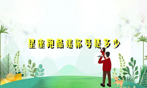 星座跑酷迷你号是多少