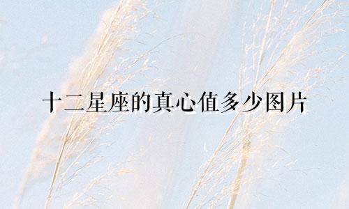 十二星座的真心值多少图片