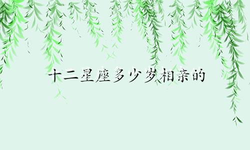 十二星座多少岁相亲的