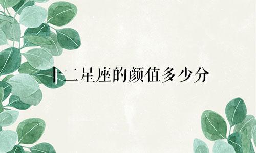 十二星座的颜值多少分
