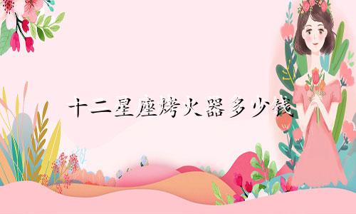 十二星座烤火器多少钱