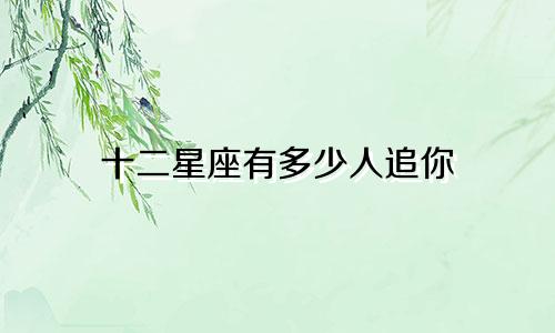 十二星座有多少人追你
