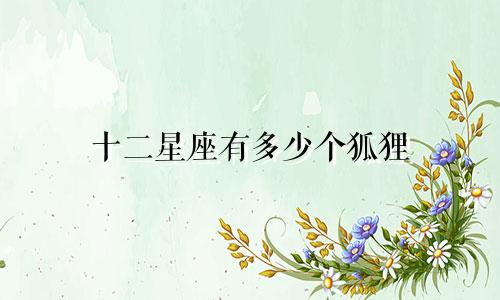 十二星座有多少个狐狸
