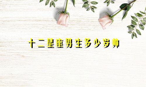 十二星座男生多少岁帅