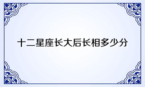 十二星座长大后长相多少分