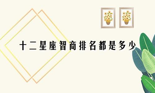 十二星座智商排名都是多少