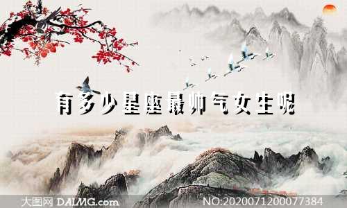 有多少星座最帅气女生呢