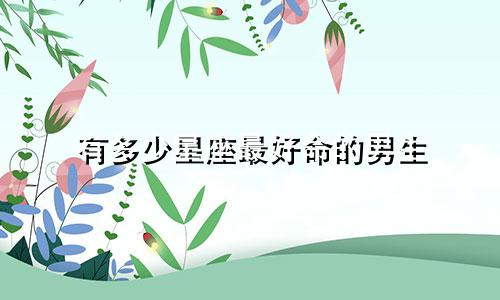 有多少星座最好命的男生