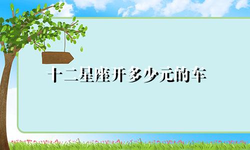 十二星座开多少元的车