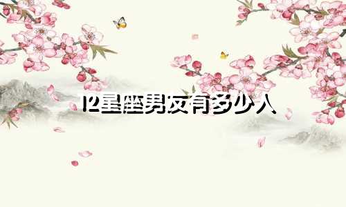 12星座男友有多少人