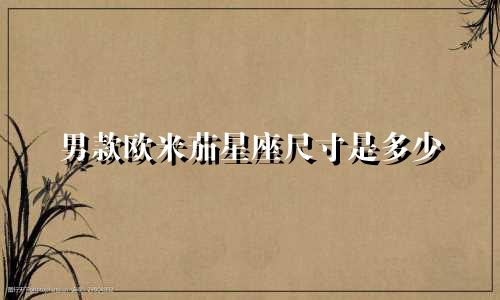 男款欧米茄星座尺寸是多少