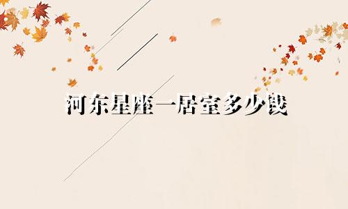 河东星座一居室多少钱