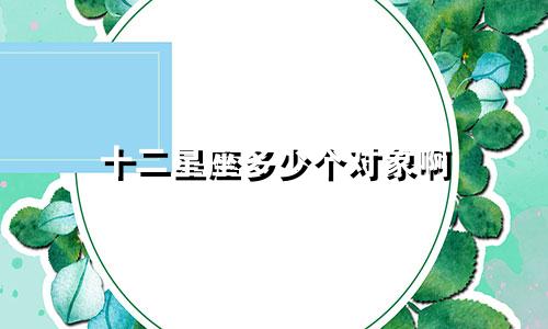 十二星座多少个对象啊