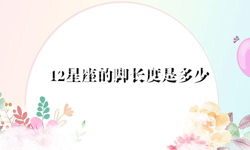 12星座的脚长度是多少